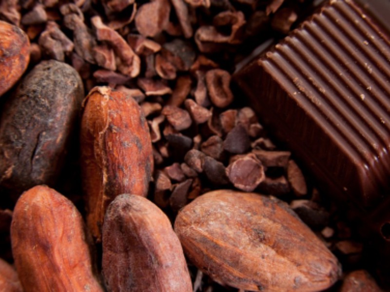 Правила соблюдения шоколадной диеты
