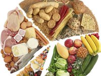 Питание по белково углеводной диете