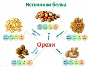 Чем полезен растительный белок