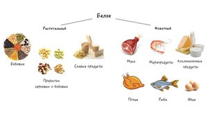 Как соблюдать белковую диету