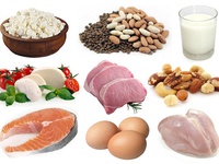 Описание белковой диеты