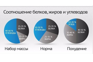 Белки жиры и углеводы в питании