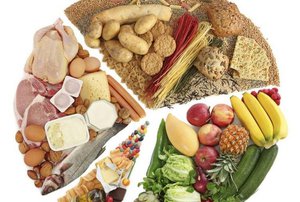 Питание по белково углеводной диете