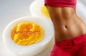 Как похудеть на яичной диете