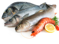 Положительные стороны употребления рыбы при диете