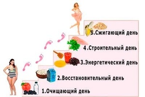 Особенности диеты лесенки