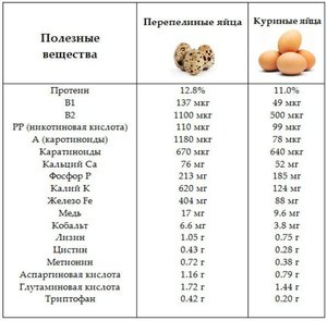 Полезные вещества разных видов яиц