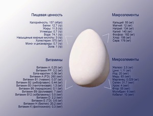 Полезные вещества в яйце
