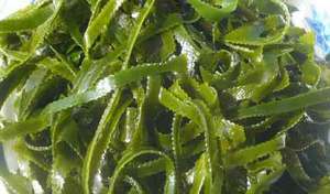 Ламинария - полезные качества питательной водоросли